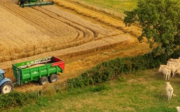 un champs, un tracteur des vaches