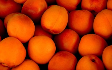 piro4d-apricots-1556851_1920