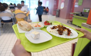 Plateau repas restauration scolaire