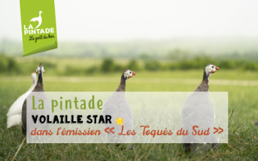 volaille star 