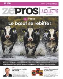 La Collective 47
