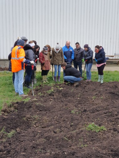 Estivin arbres plantés