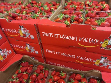 Fruits et légumes Sapam