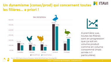 Dynamisme de la pintade