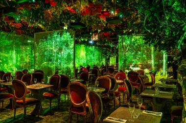 Wonderwoods