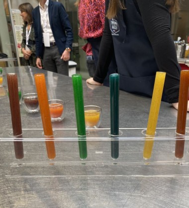 SAUCE COULEUR 2.jpg
