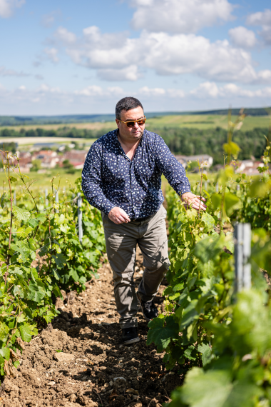 thomas-cheurlin vignes