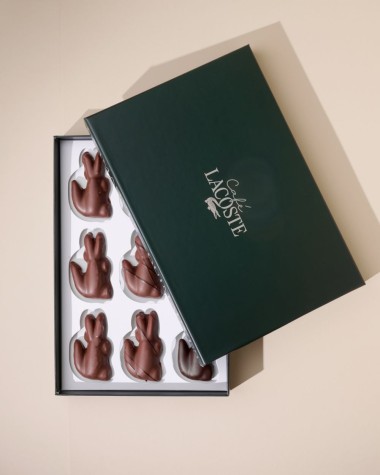 Lacoste Packshots52292_CASPAR MISKIN BD.jpg