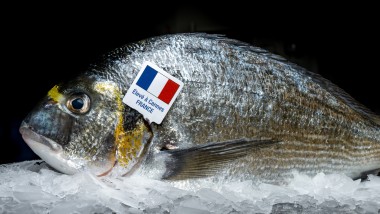 Daurade Baie de Cannes Transgourmet Origine