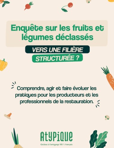 Livre blanc Atypique