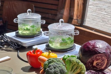 deux cocote en verre sur plaque chauffante avec du brocoli