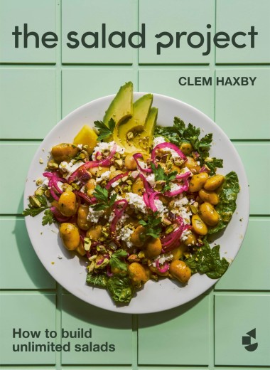 SALAD PROJET 1