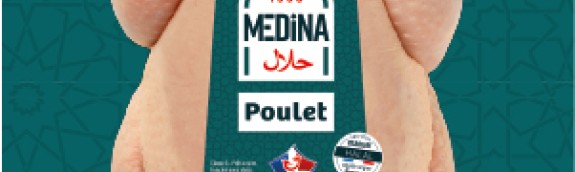 GRAND ANGLE MEDINA S3 