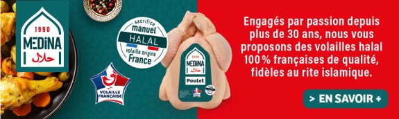 GRAND ANGLE MEDINA S3 