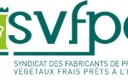 logo SVFPE