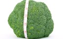 rapport qualité prix brocoli