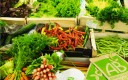 Produits biologiques