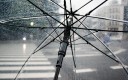 parapluie tempête assurance protection