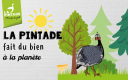 la pintade fait du bien à la planète