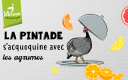 Pintade et agrumes