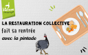 La pintade en collective