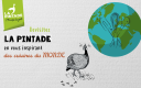 concours pintade 2025