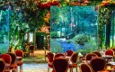 Wonderwoods