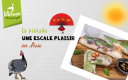 Pintade escale en Asie