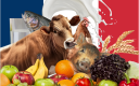Forum de France de l'alimentation