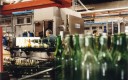 Des bouteilles en verre au premier plan sur une ligne d'embouteillage et un opérateur au deuxième plan.