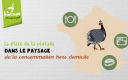 Place pintade en CHD