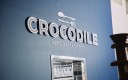 Crocodile
