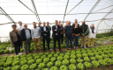 Equipe du pays des herbiers