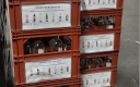 Caisses plastiques rouge contenant des bouteilles vides en verre sur une palette bois