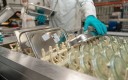 LAVErie industriel Uzage avec des bacs inox