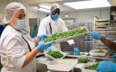 cuisiniers avec plats inox de haricots verts
