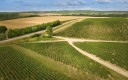 Simonnet-Febvre parcelles