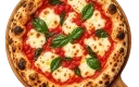 V2 Mondo Pizzaiolo